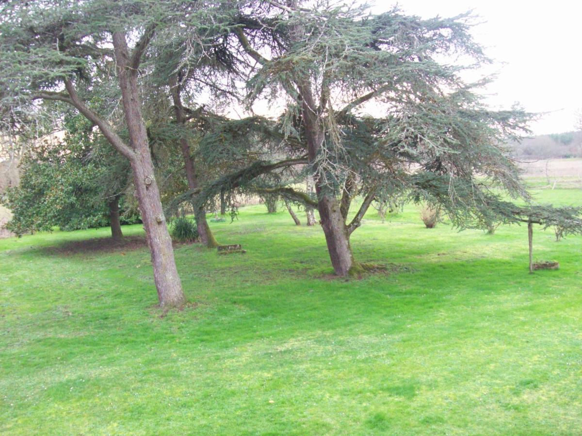 Chateau Le Guit Grignols  Exteriér fotografie